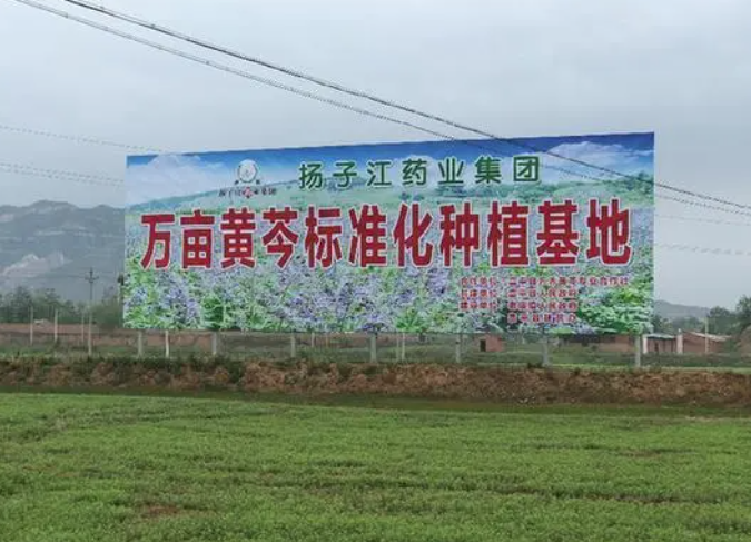 揚(yáng)子江藥業(yè)：彰顯藥企責(zé)任擔(dān)當(dāng) 掌握精準(zhǔn)扶貧“金鑰匙”