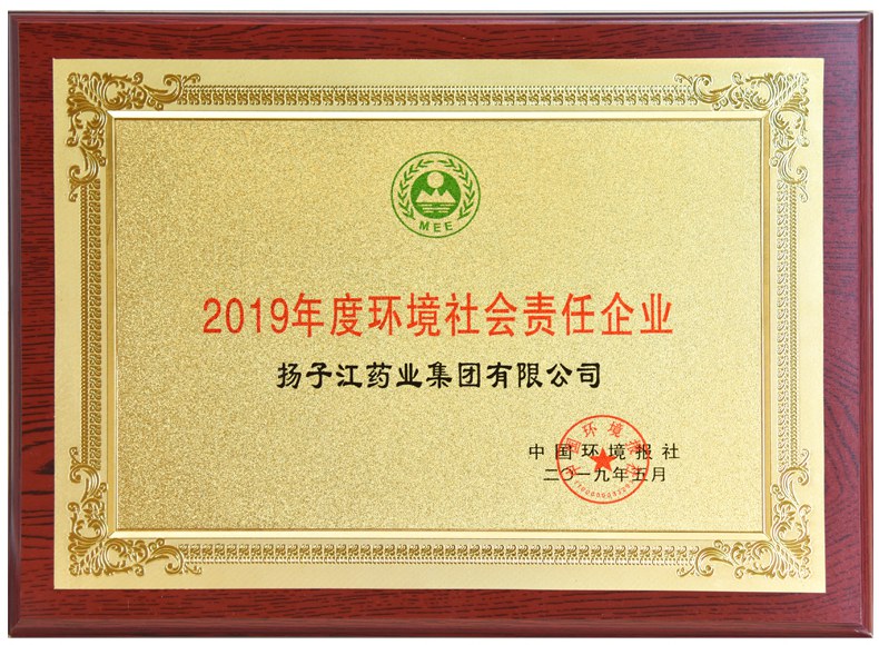 環(huán)境社會責任企業(yè)（2019）